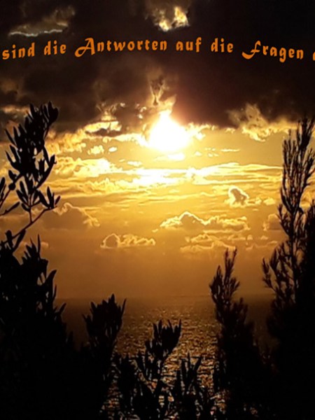 Die Frage des&nbsp;Lebens